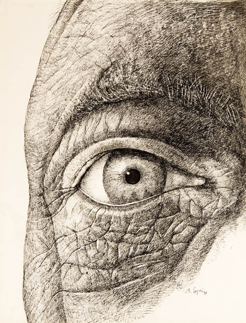 Stanislao Lepri - Le Regard (The Gaze) - 1975 ink on paper